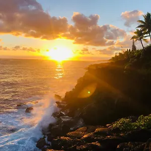 https://wild-blue-water-sunrise-suite.hotelsinhawaii.org